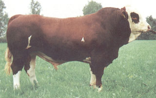Eisenherz