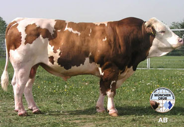 Epo