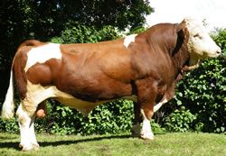 Huascaran