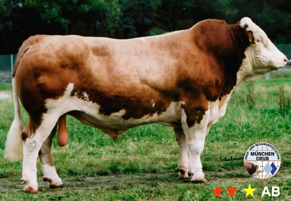 Regio